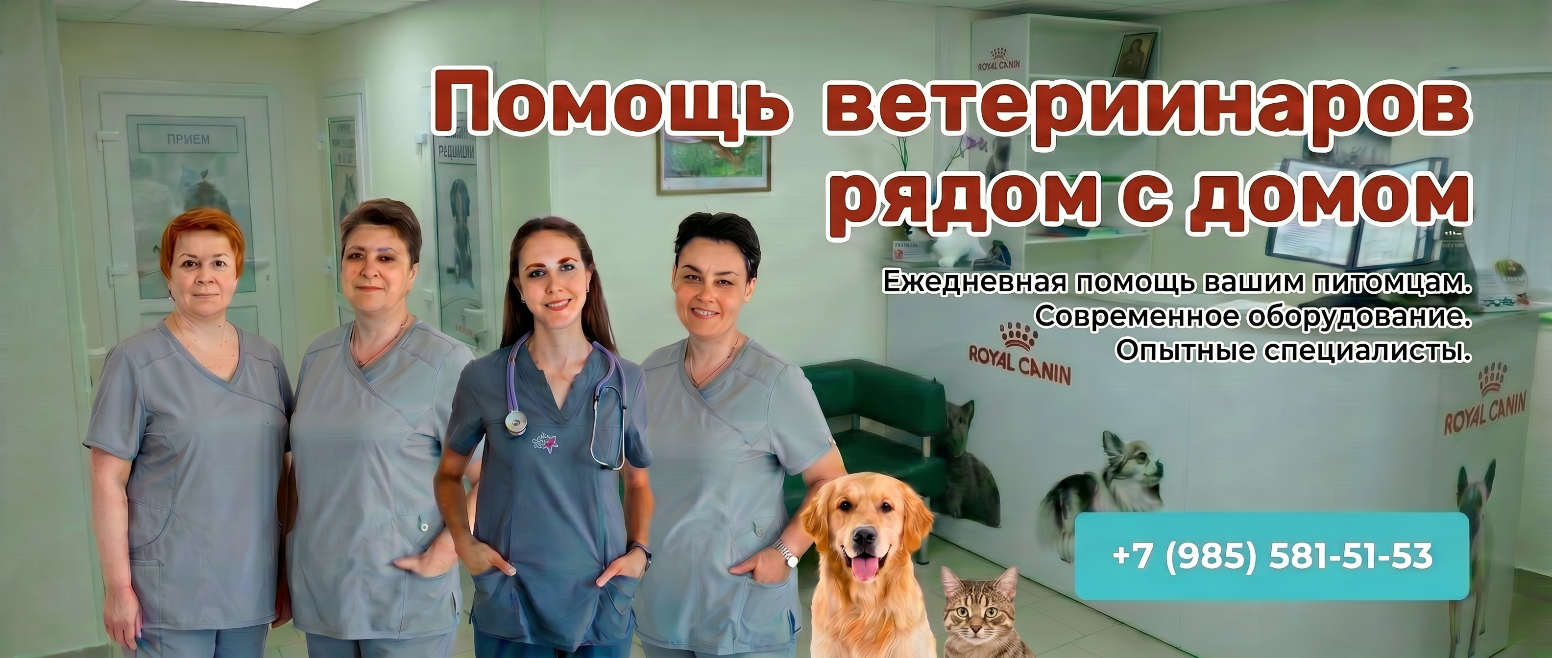 Ветеринар рядом Ветклиника Ветпомощь Воскресенск