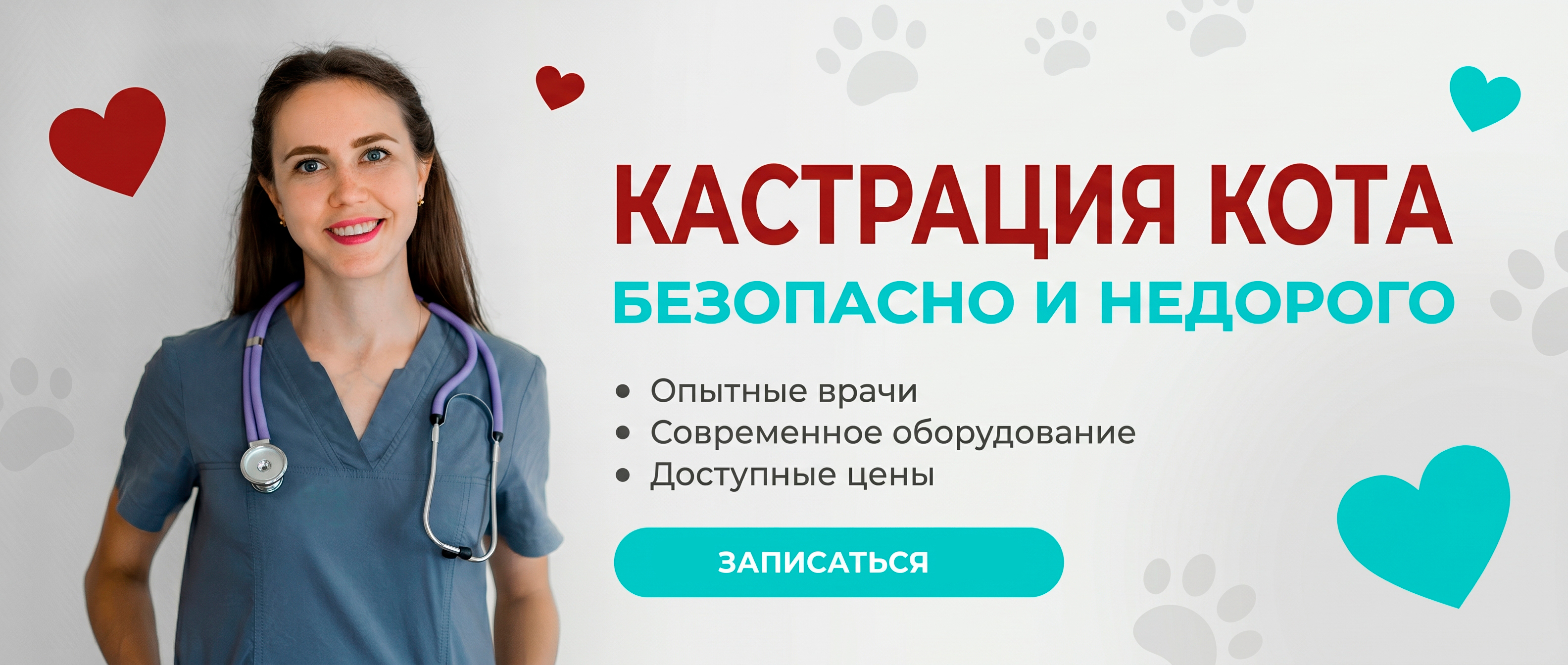 Кастрация кота Воскресенск
