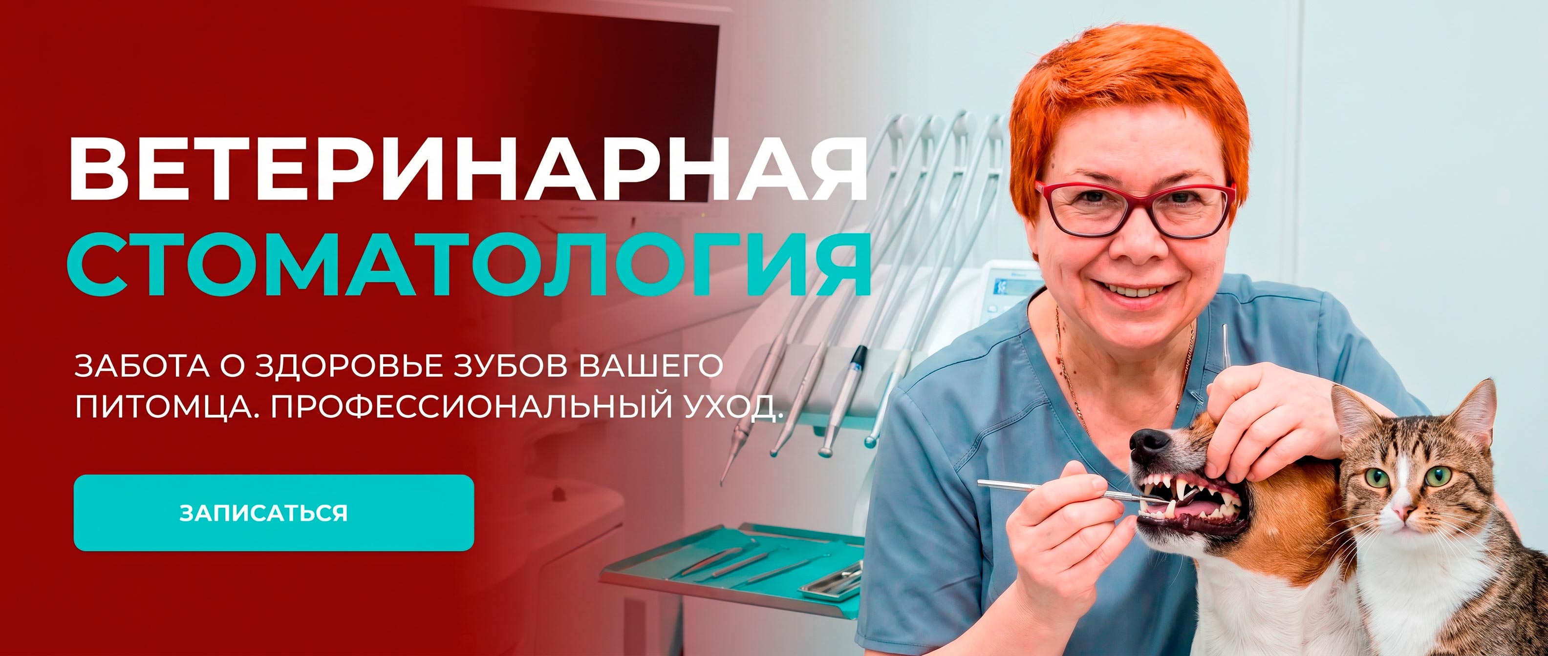 Лечение зубов ветклиника Воскресенск