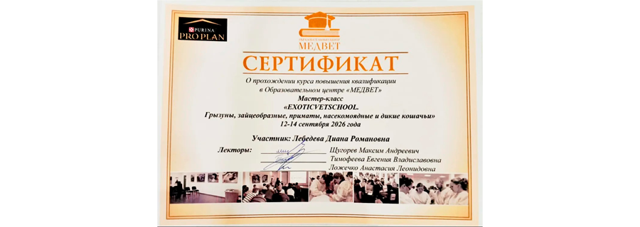Сертификат о прохождении мастер-классов по ратологии выданный Диане Лебедевой